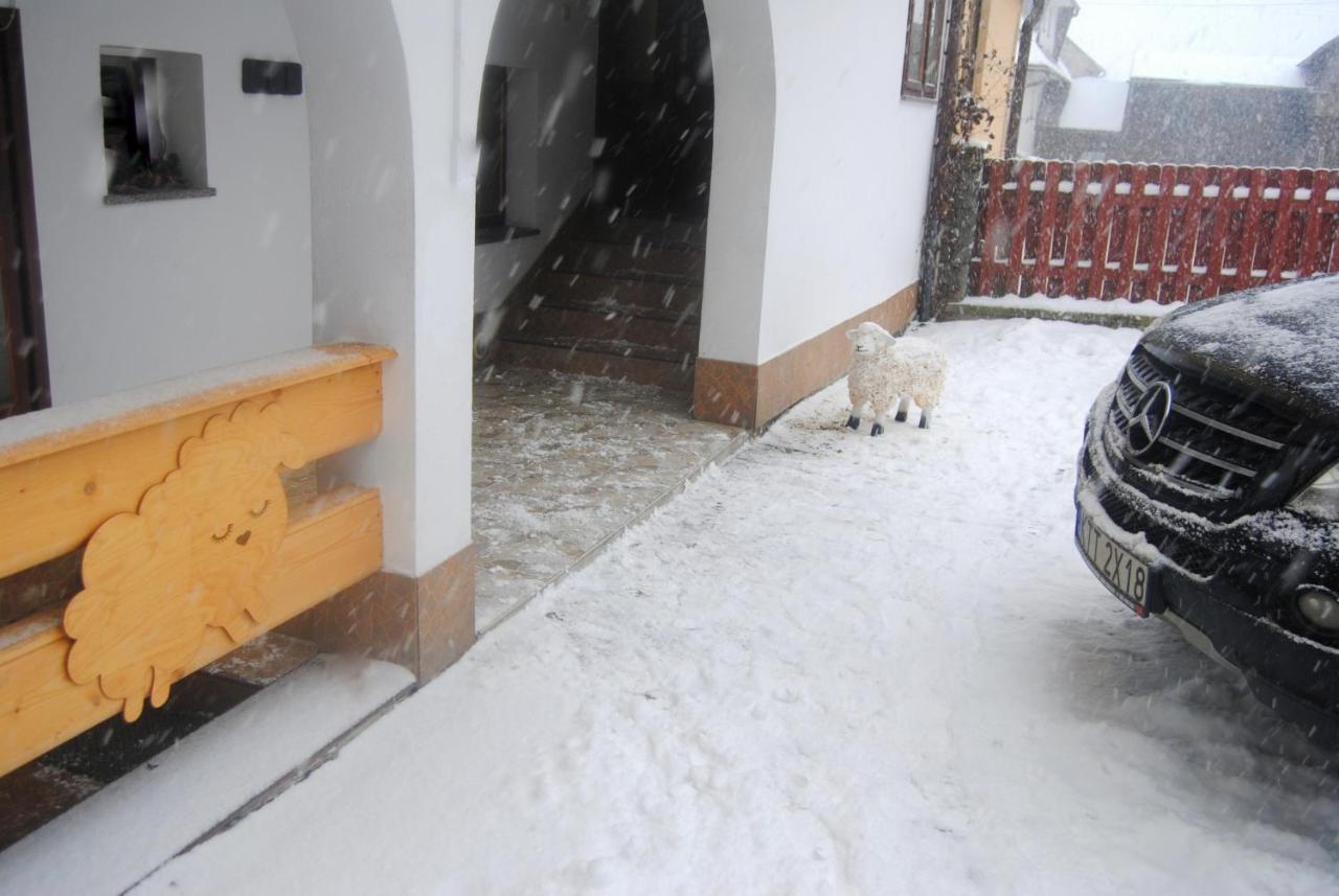 Miedzy Owcami Apartment Sromowce Wyzne Exterior photo