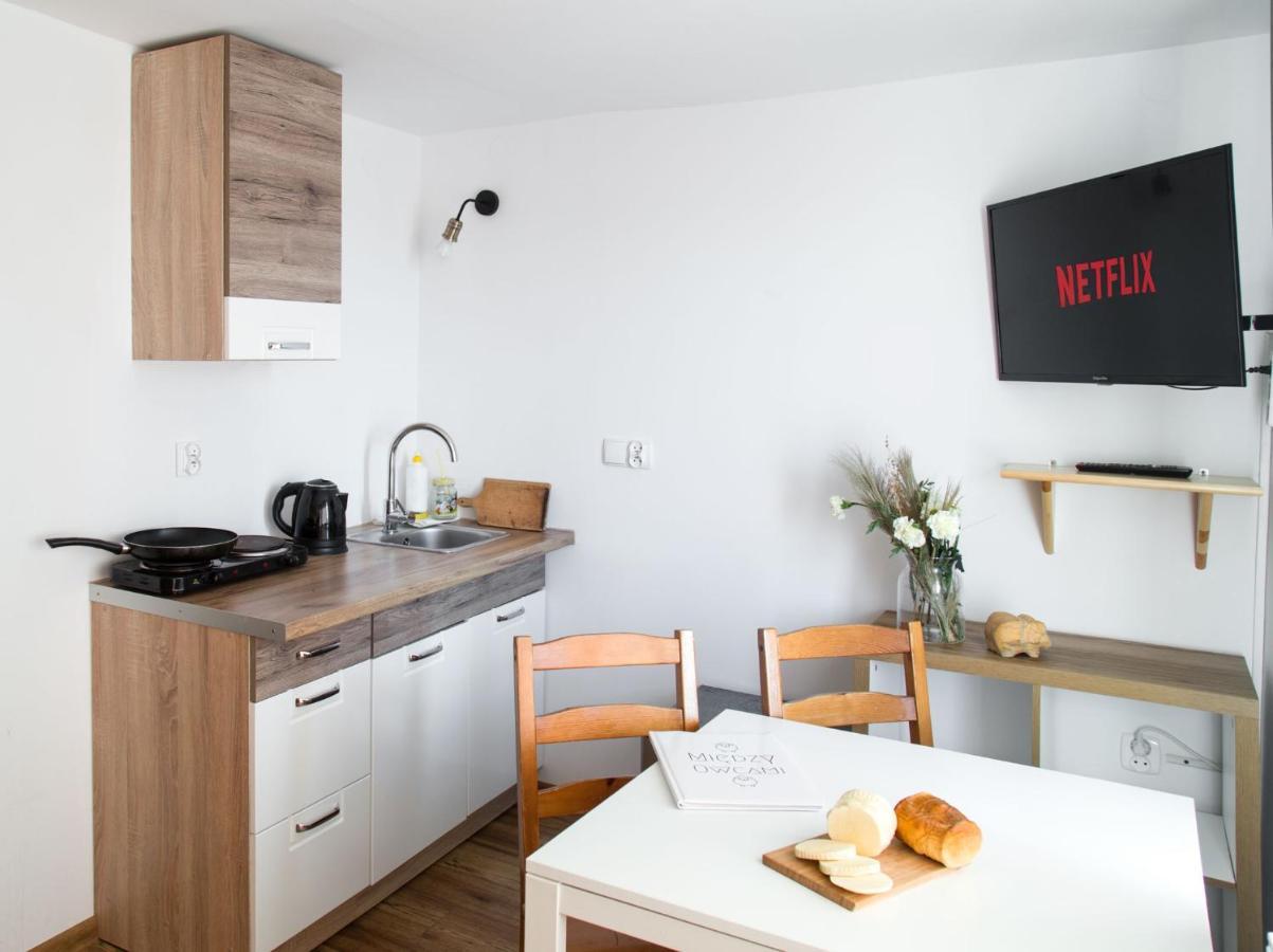 Miedzy Owcami Apartment Sromowce Wyzne Exterior photo